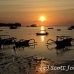 sunset_nlem_h_0633_bal3926.jpg